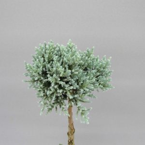 juniperus-squamata-tropical-blue-3-web